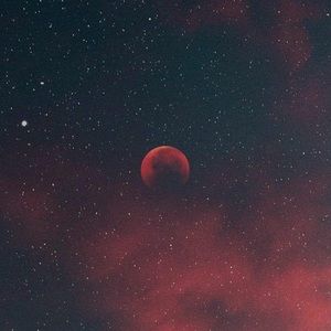 Meet your Posher, Daisy